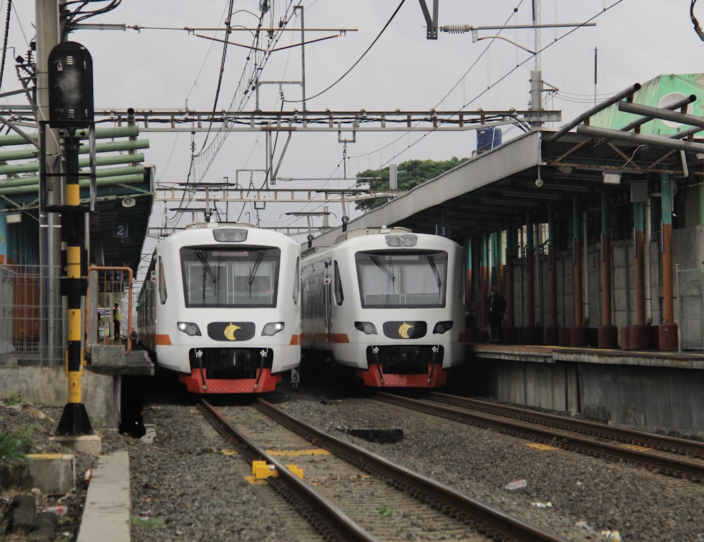 Zwei nebeneinander geparkte Züge an einem Bahnhof
