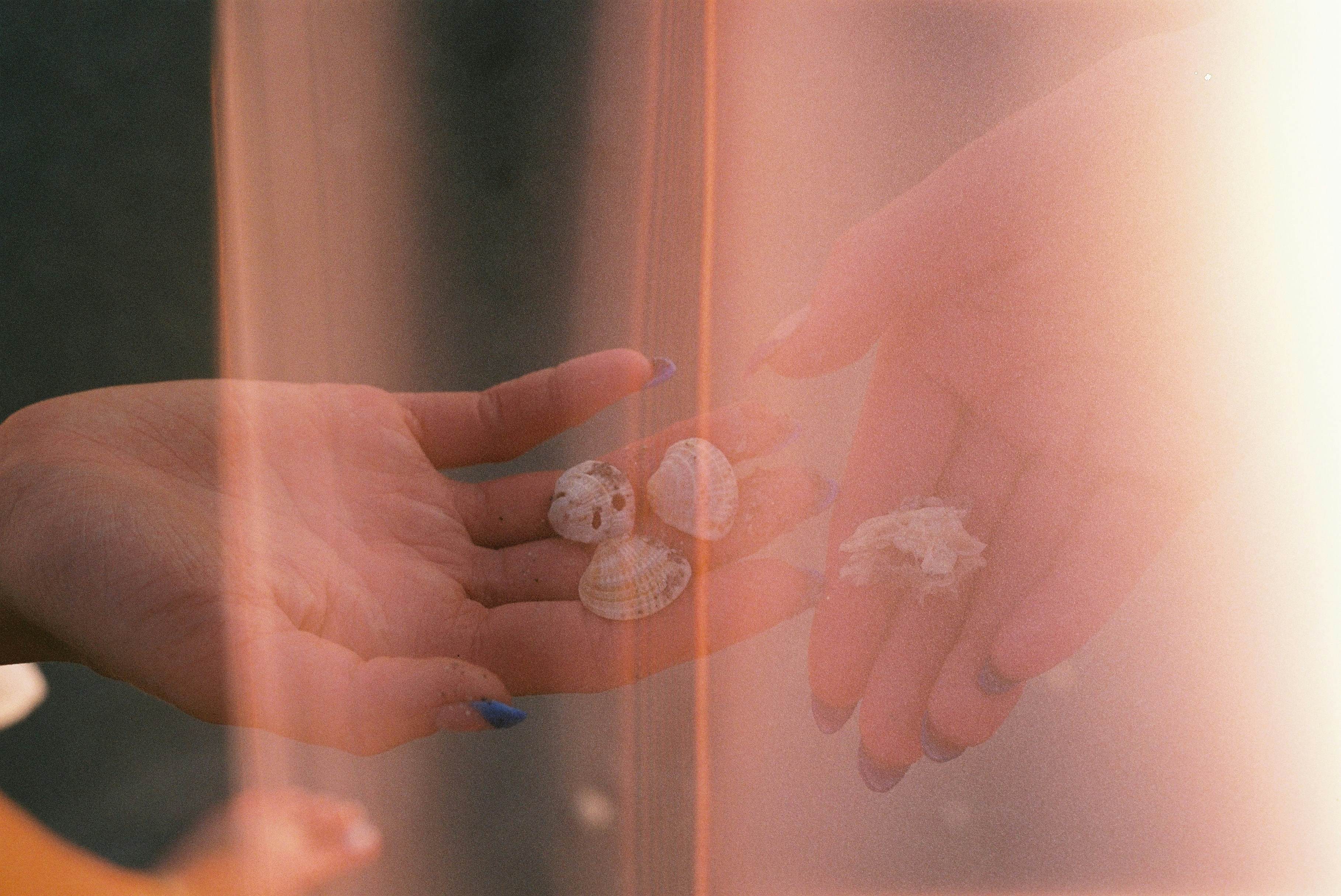 手に物を持つ手