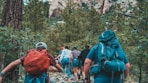 a group of people hiking through a forest