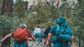a group of people hiking through a forest
