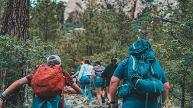 a group of people hiking through a forest