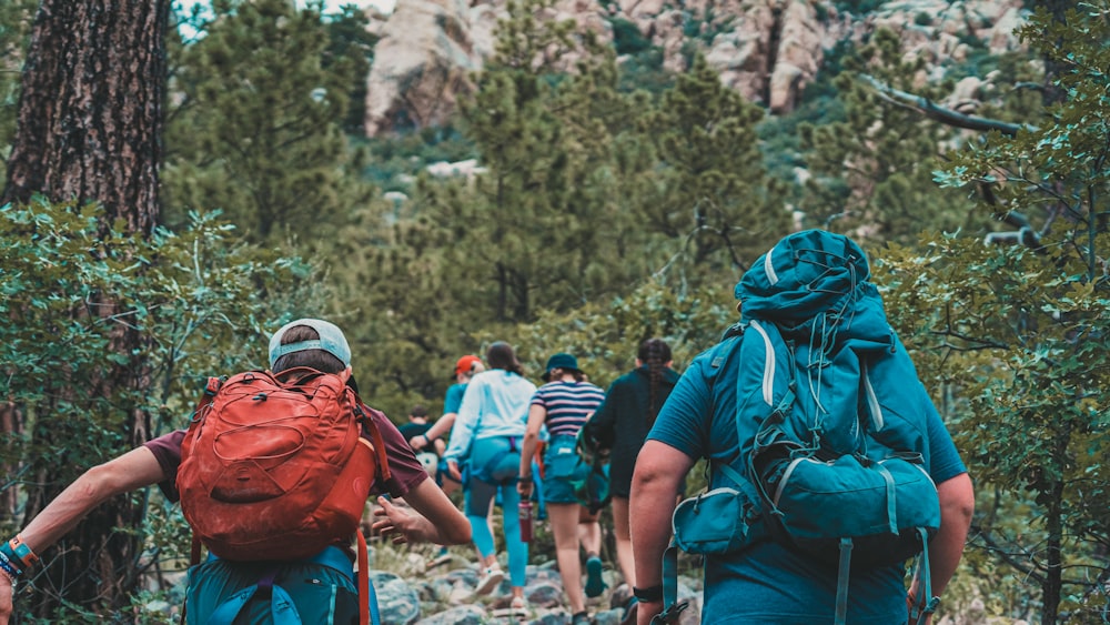 a group of people hiking through a forest