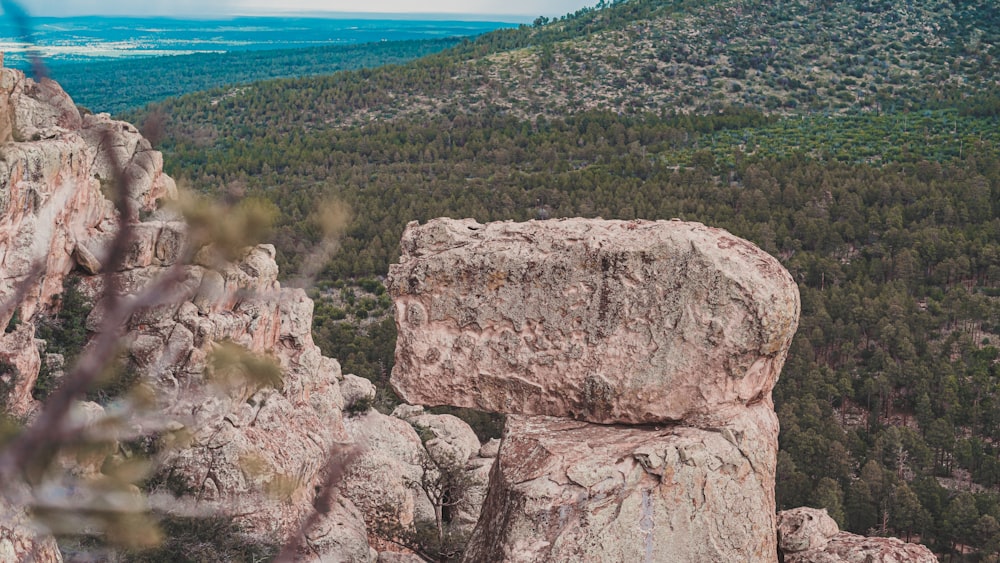 Un uomo in piedi sulla cima di una grande roccia vicino a una foresta