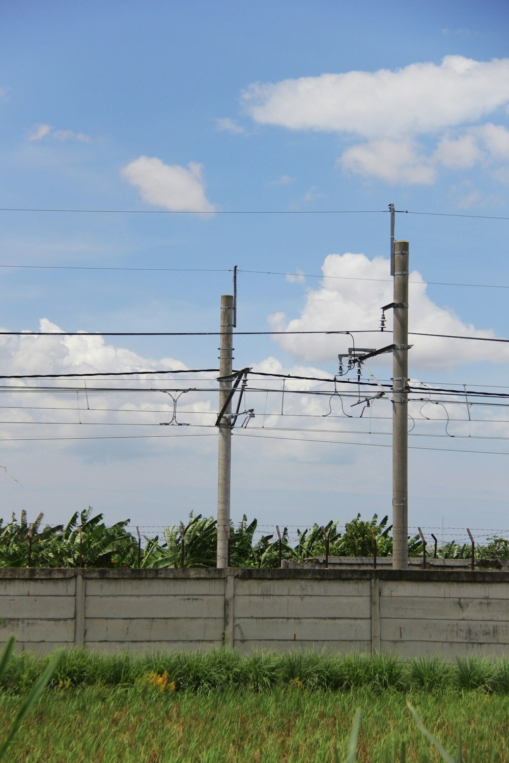 a row of power lines sitting above a lush green field