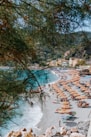 a beach with a lot of umbrellas and chairs