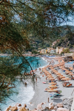 a beach with a lot of umbrellas and chairs