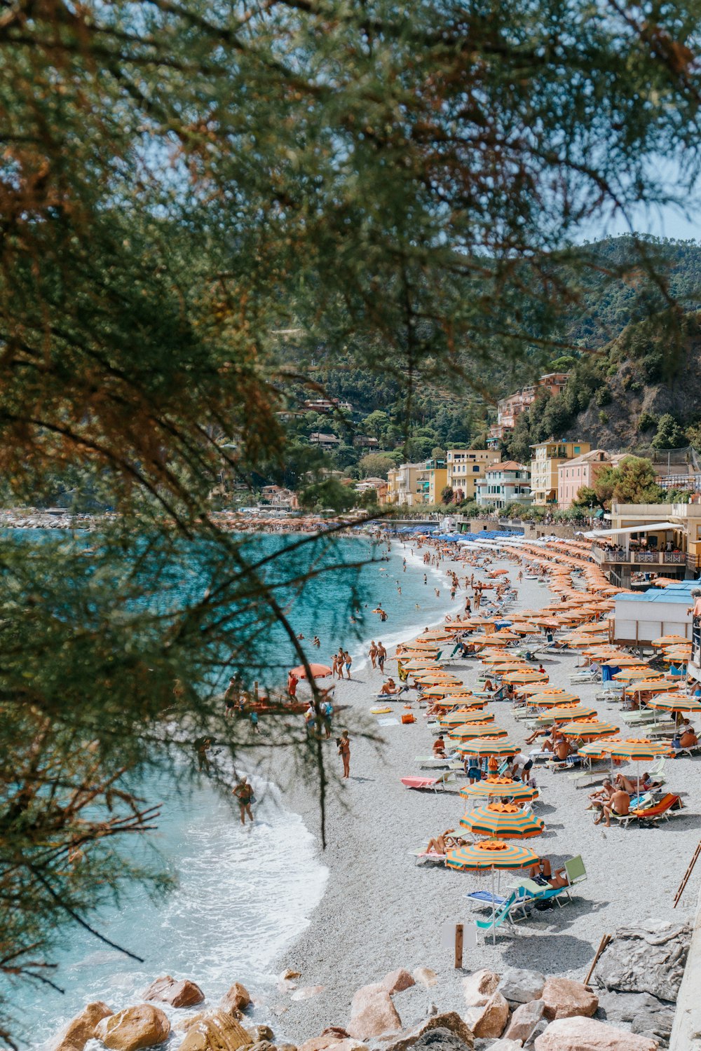 a beach with a lot of umbrellas and chairs