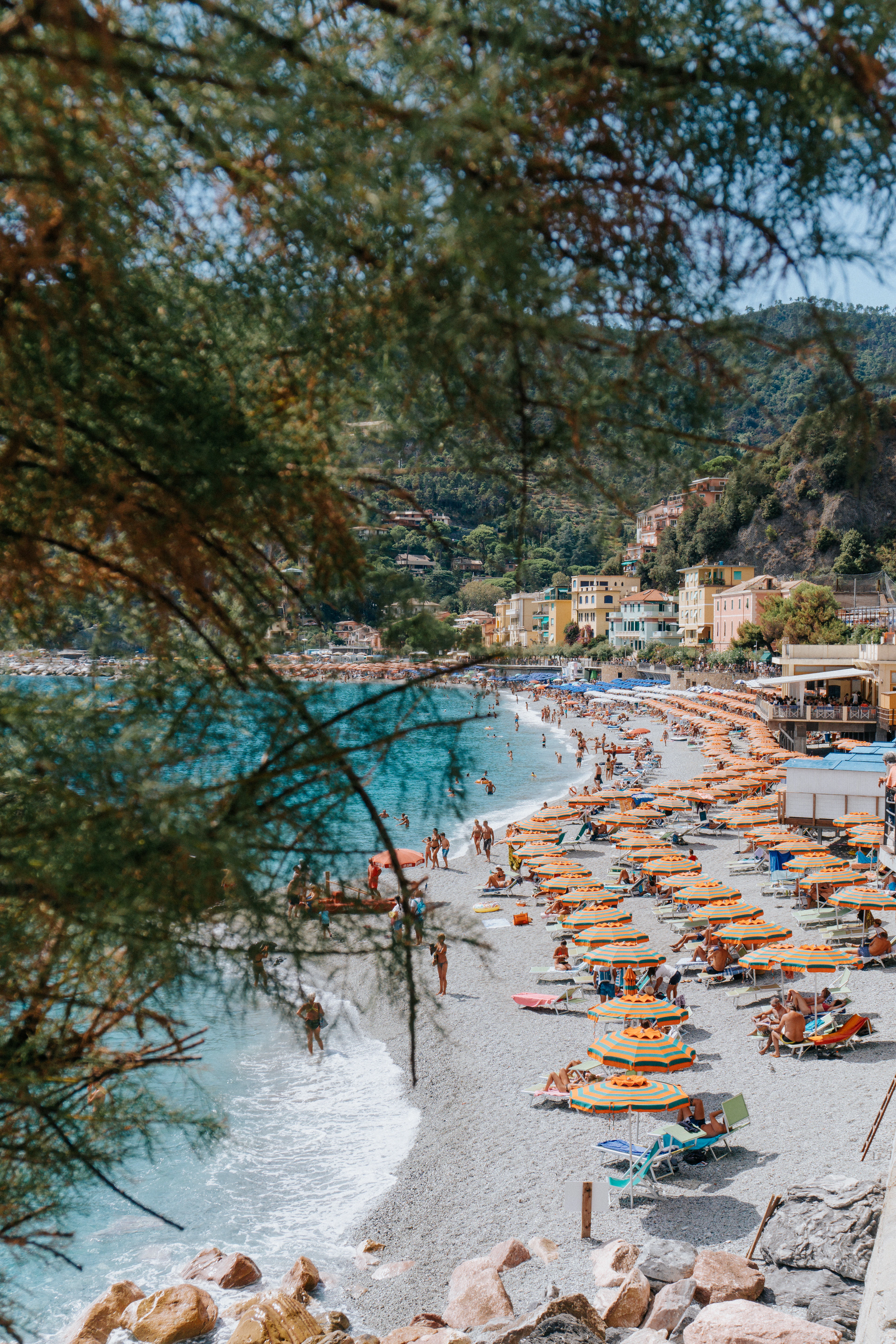 The beach at Monterosso al Mare seen through pine branches, rows of orange and green parasols on pale shingle beside clear turquoise water, with the village's yellow and cream houses on the wooded hillside behind