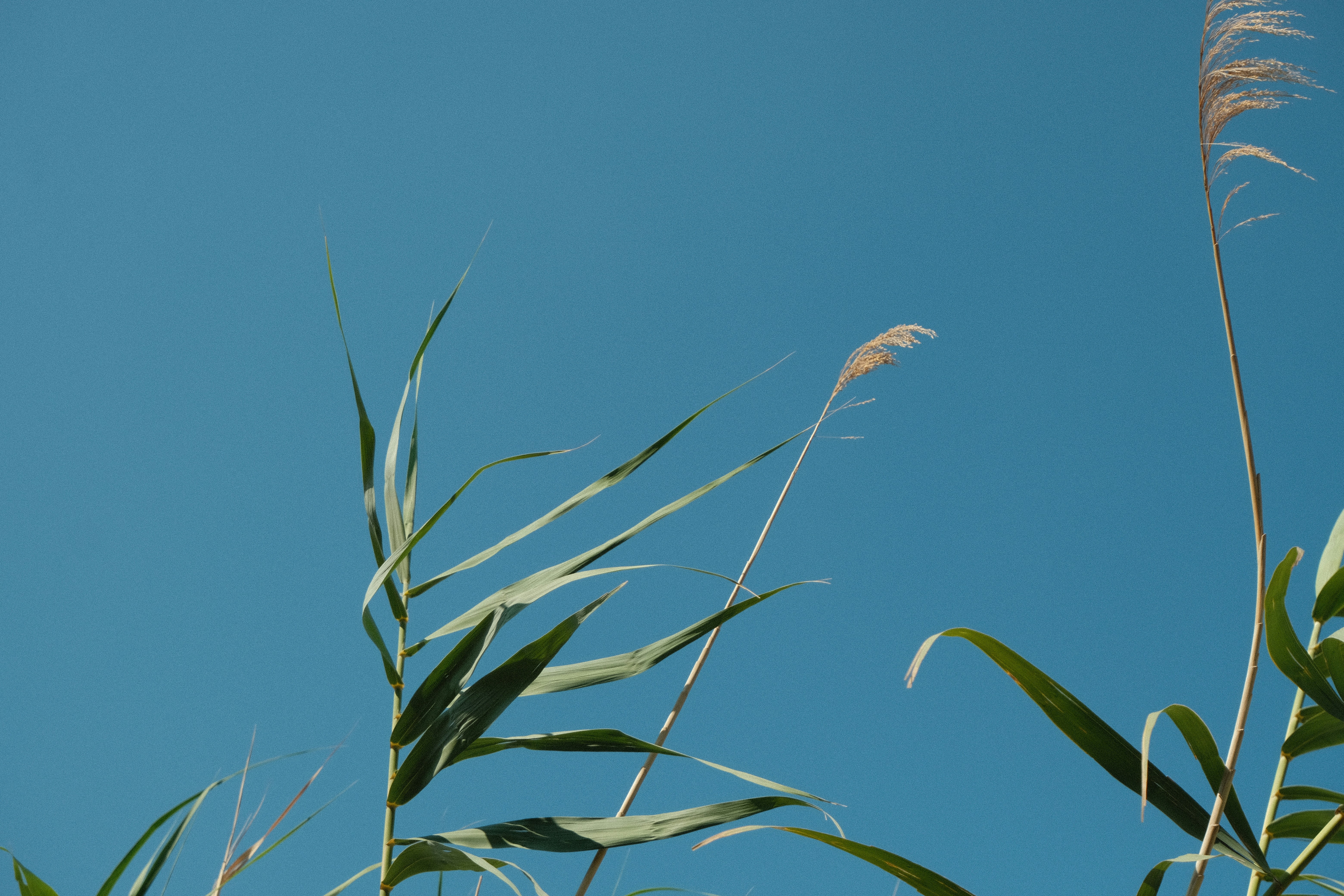 Photo by jack_barton