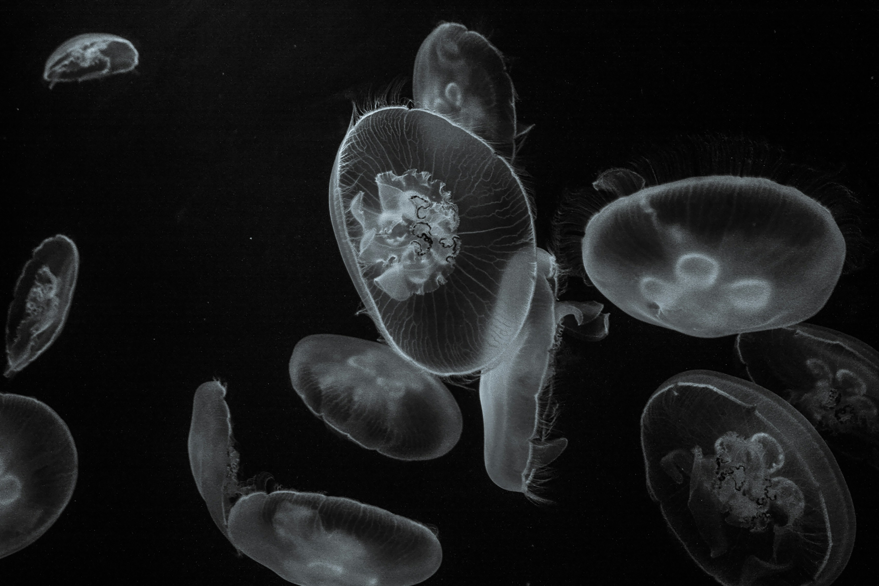 Photo by nadjabraendle