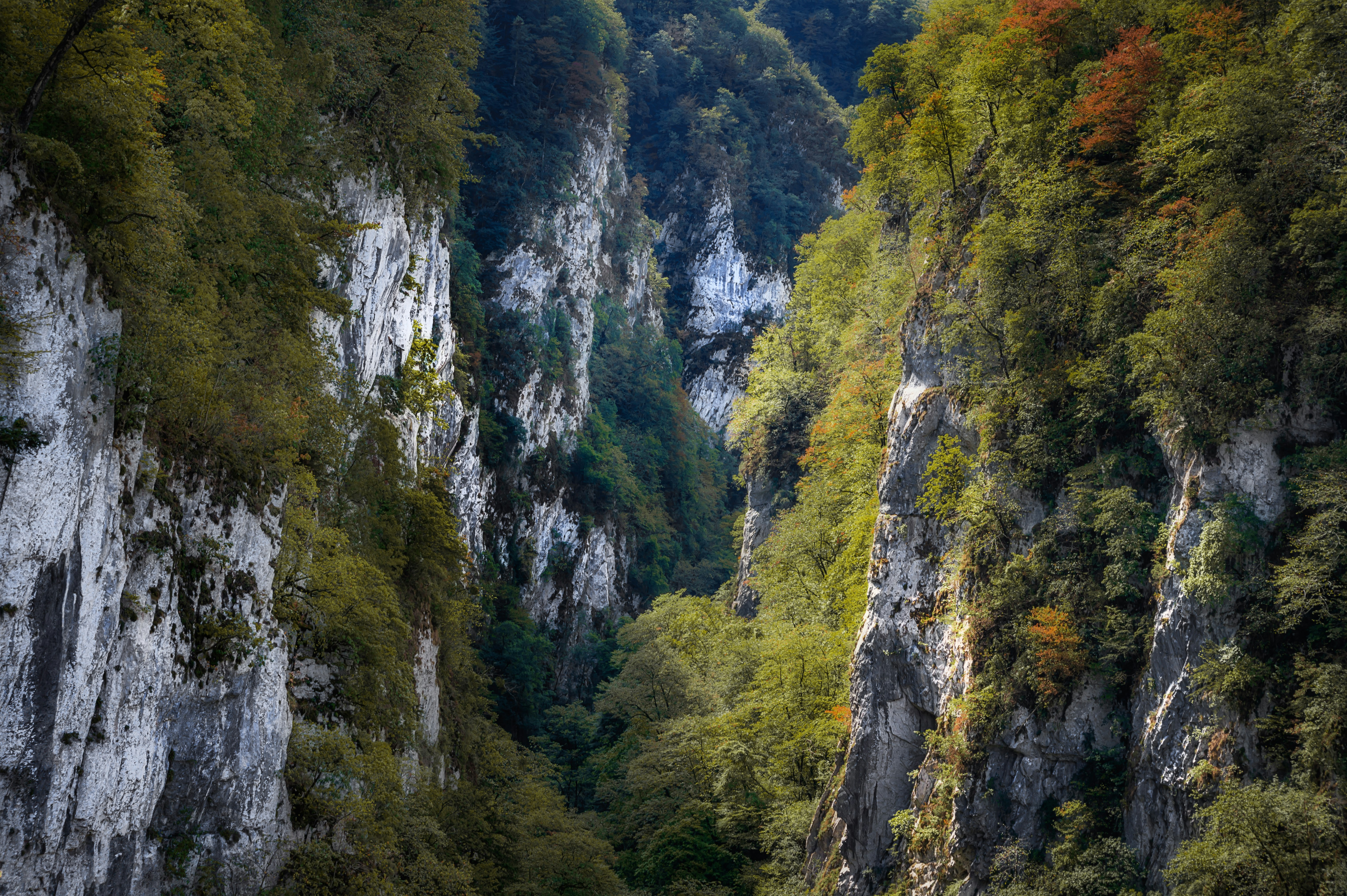 Photo by arizonanthony