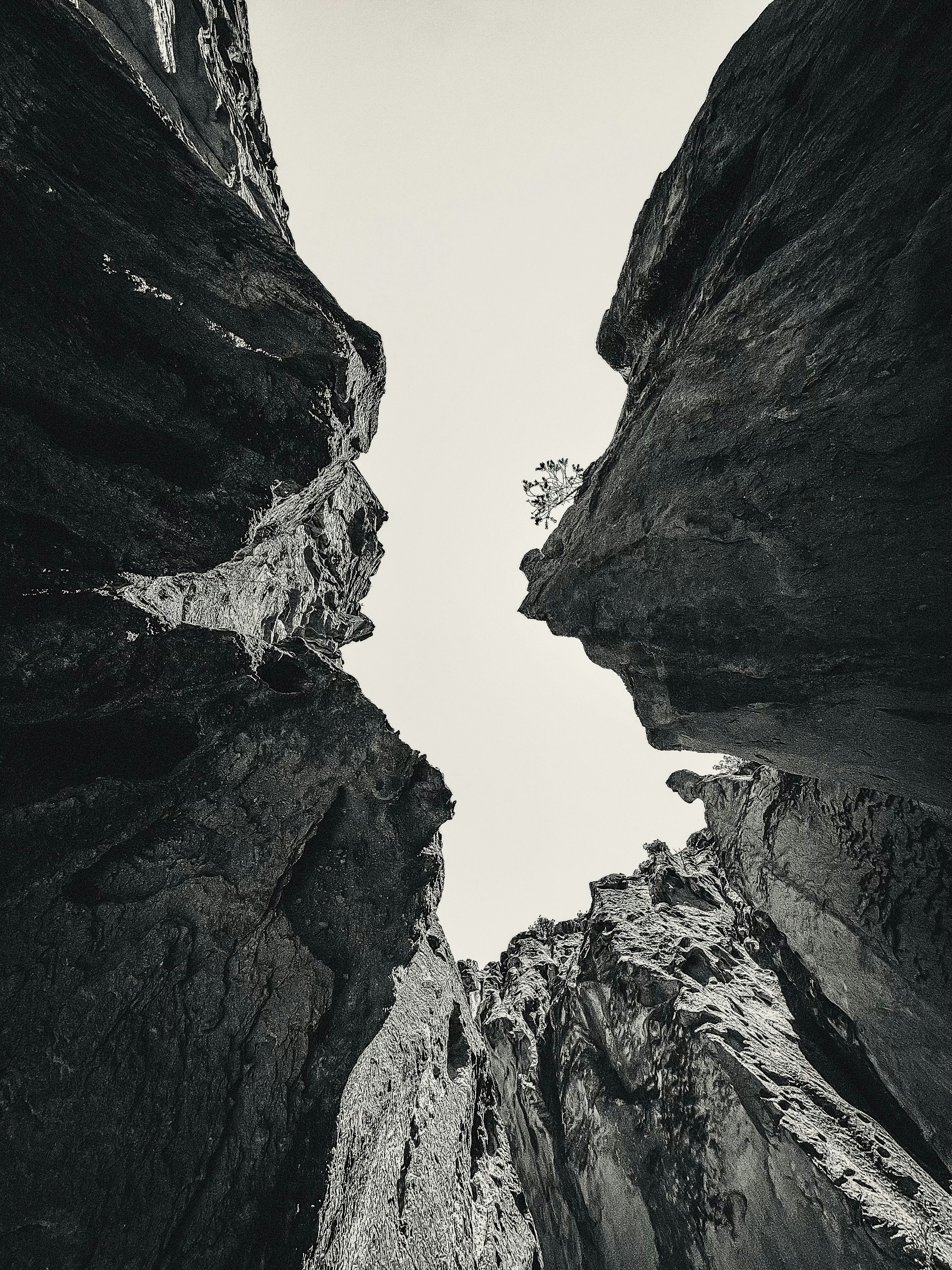 a black and white photo looking up at the sky