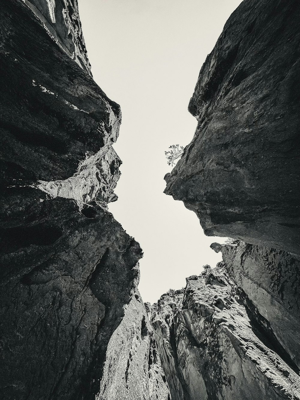 a black and white photo looking up at the sky