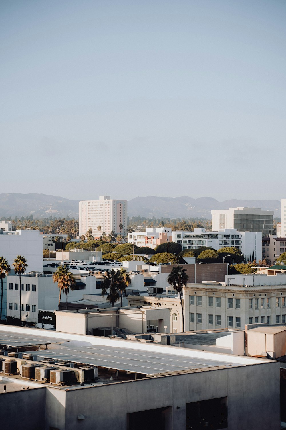 a view of a city with palm trees in the foreground