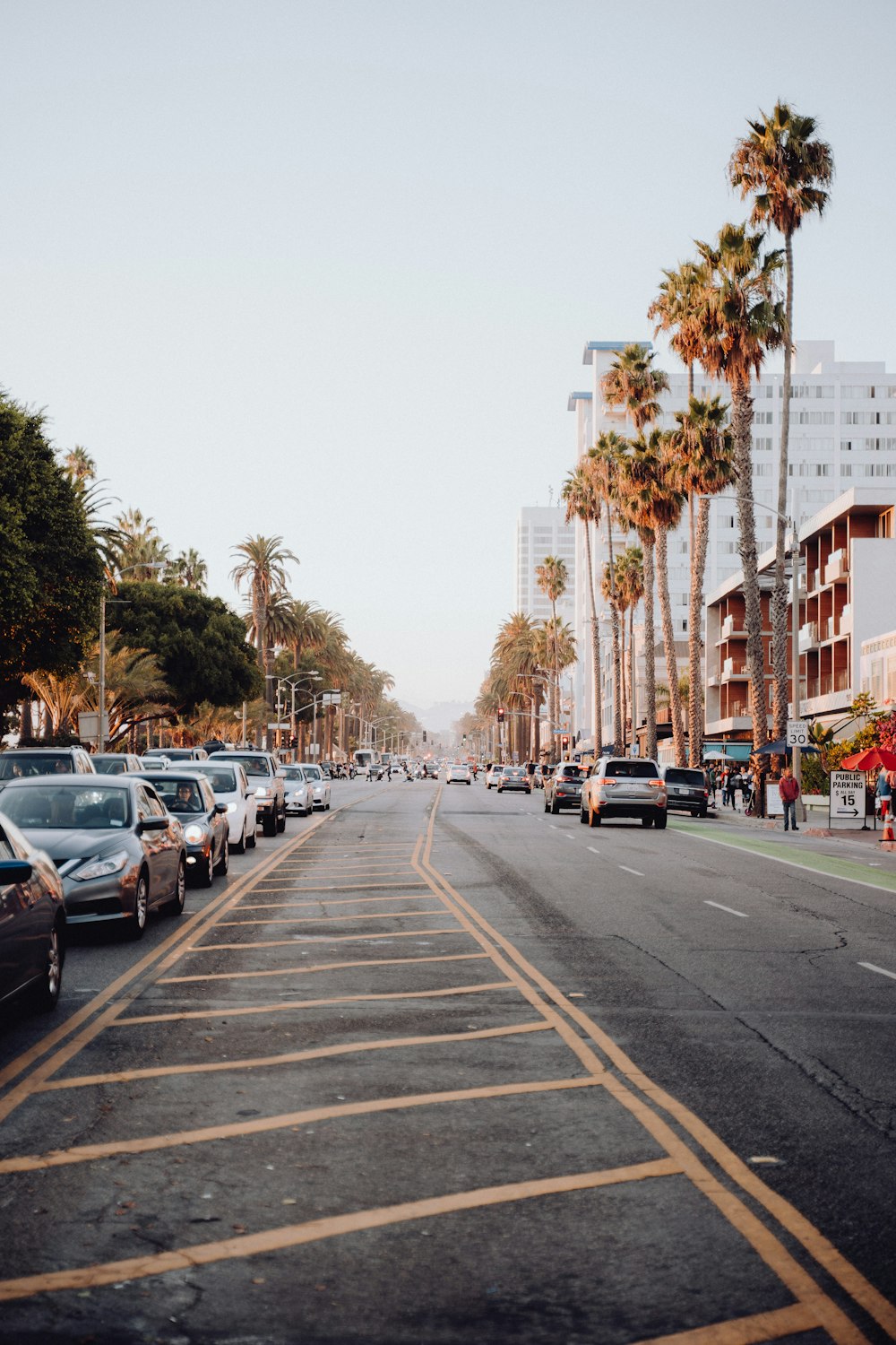 a street lined with parked cars and palm trees