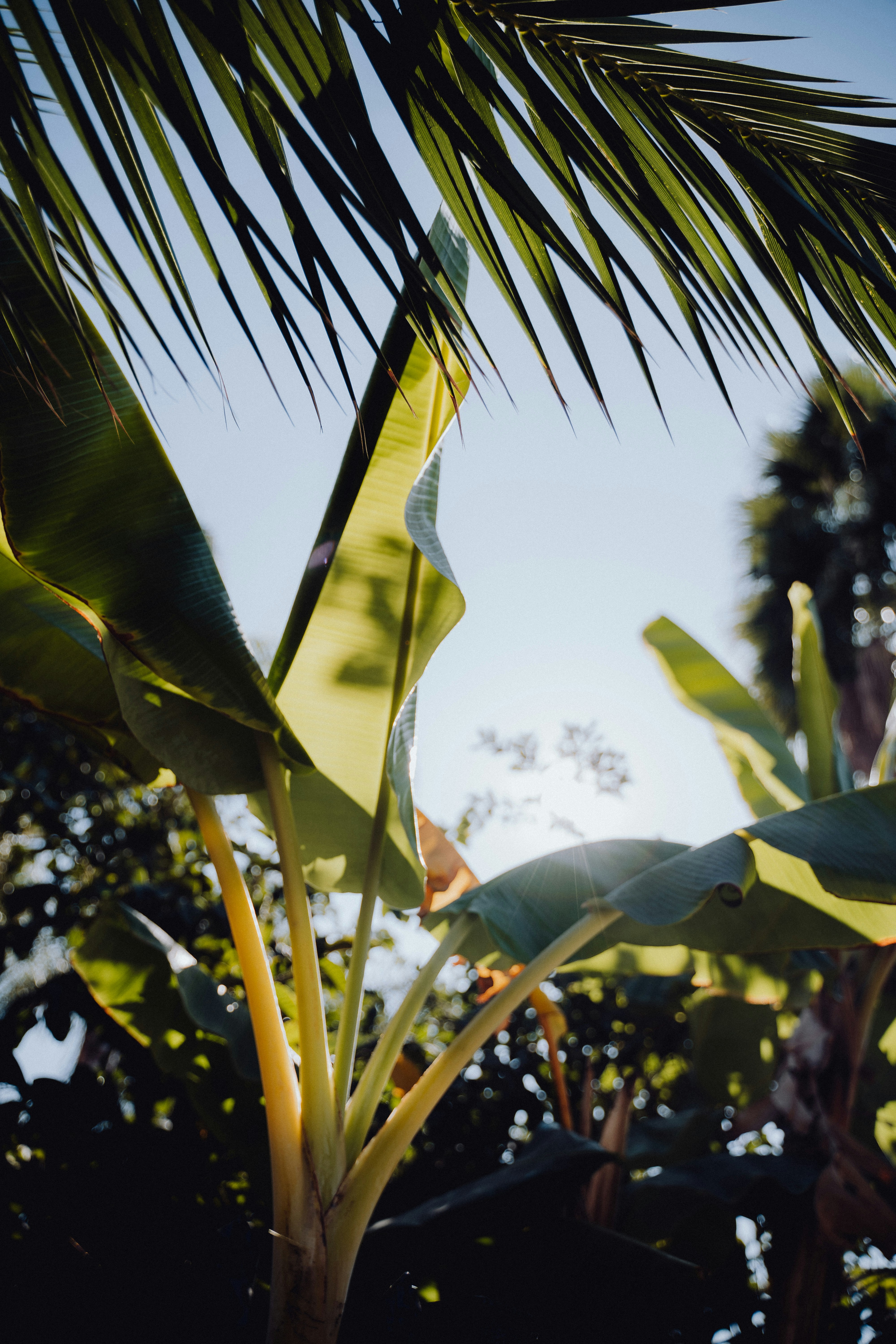 Photo by baileyal3xander