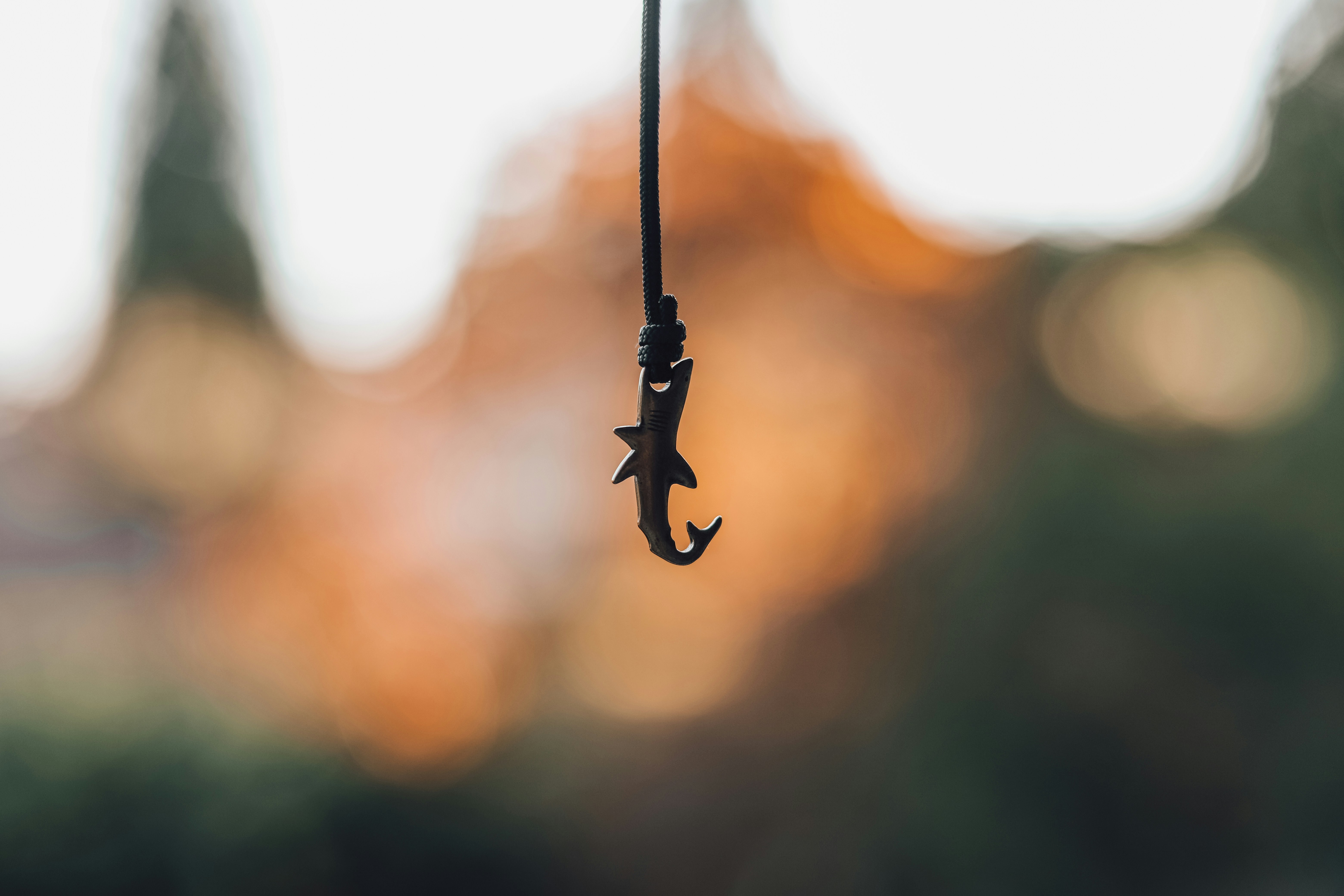 Fossil Shark Pendant