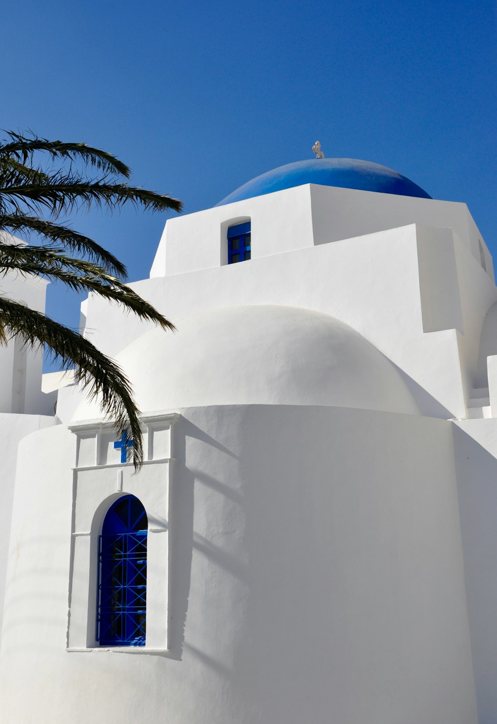 a white building with a blue dome and a palm tree