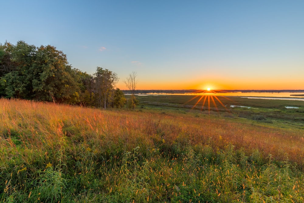 Il sole sta tramontando su un campo erboso