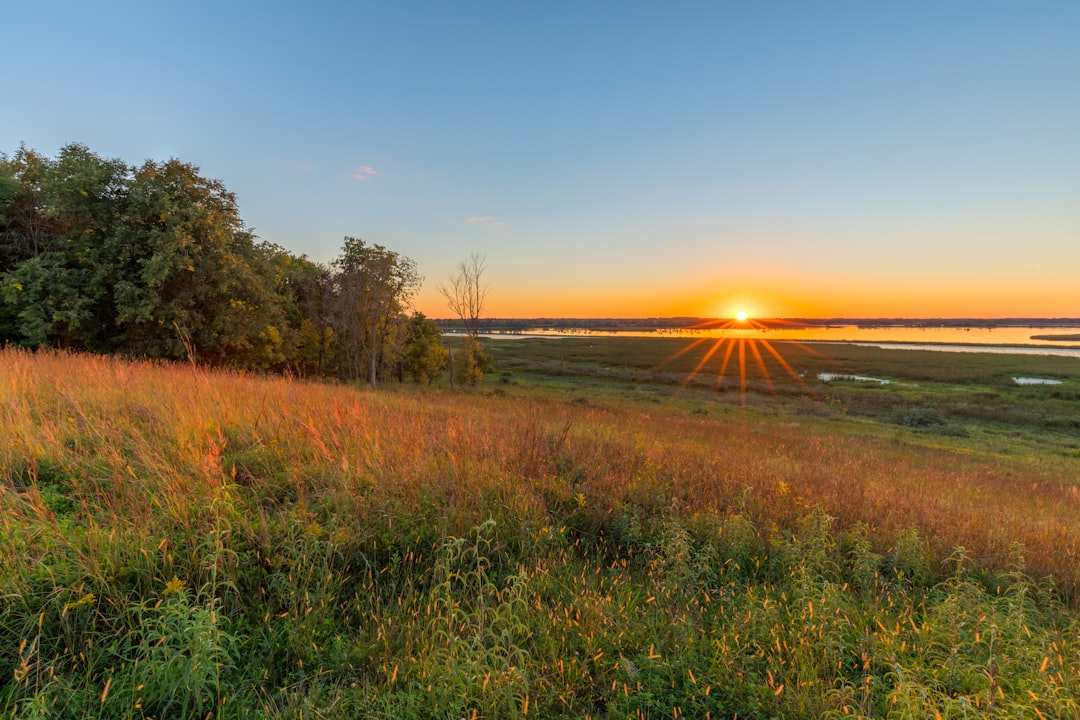 the sun is setting over a grassy field, Summer Wanes
