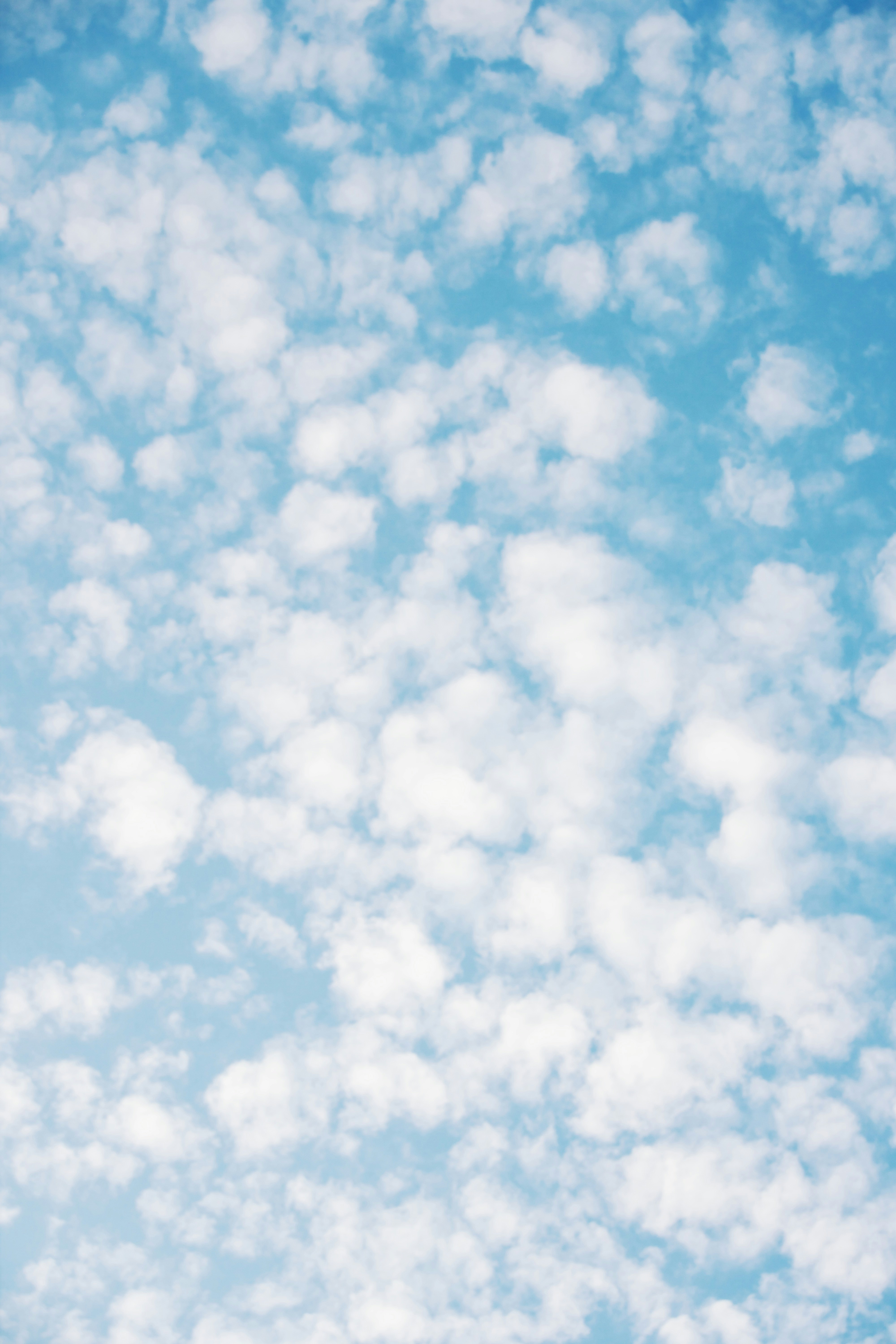 Photo by eternalseconds