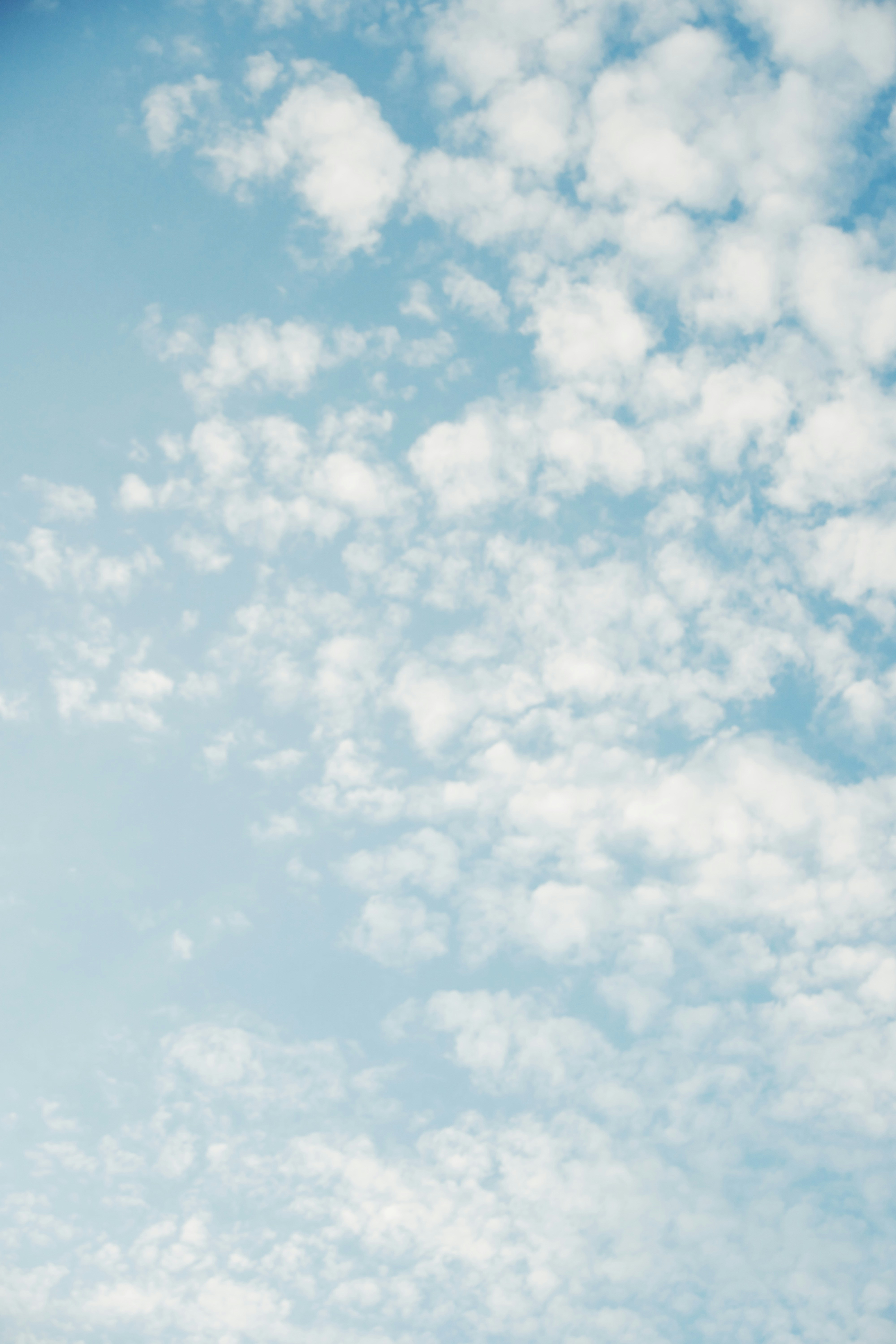 Photo by eternalseconds