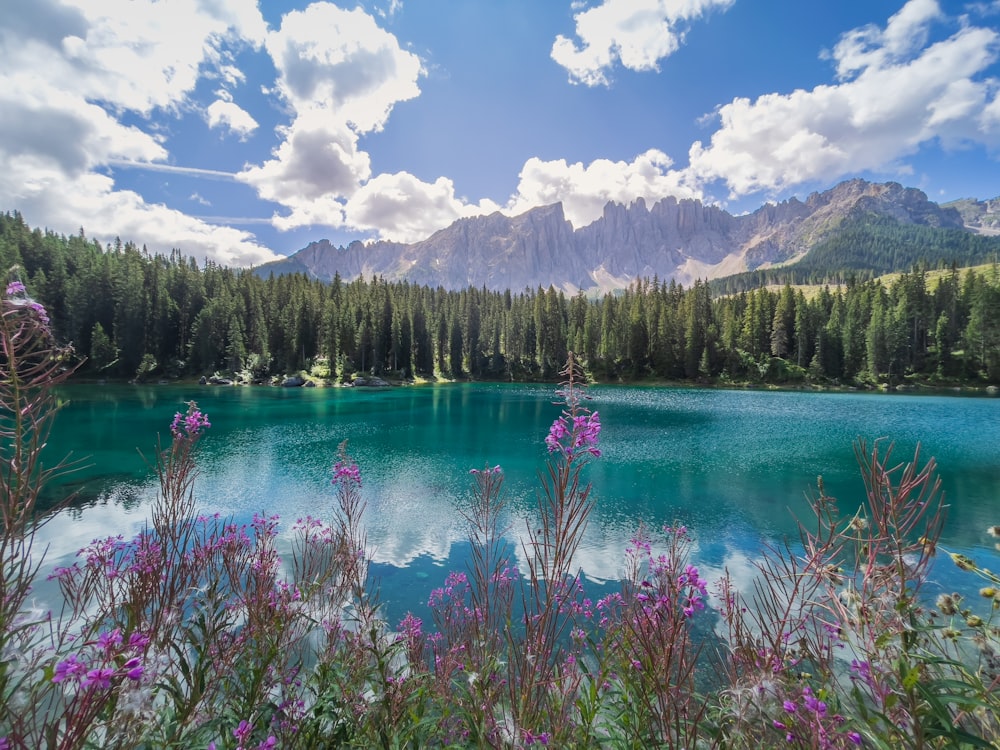 a blue lake surrounded by mountains and trees