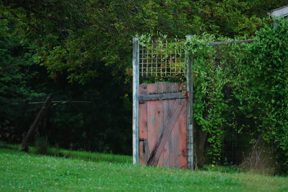 a wooden gate with vines growing out of it