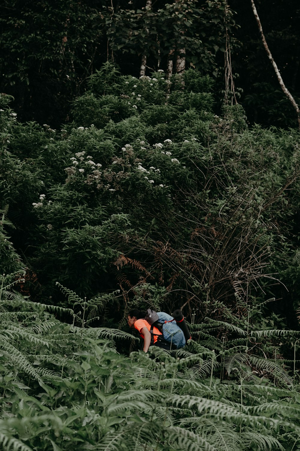 a man in an orange vest walking through a forest