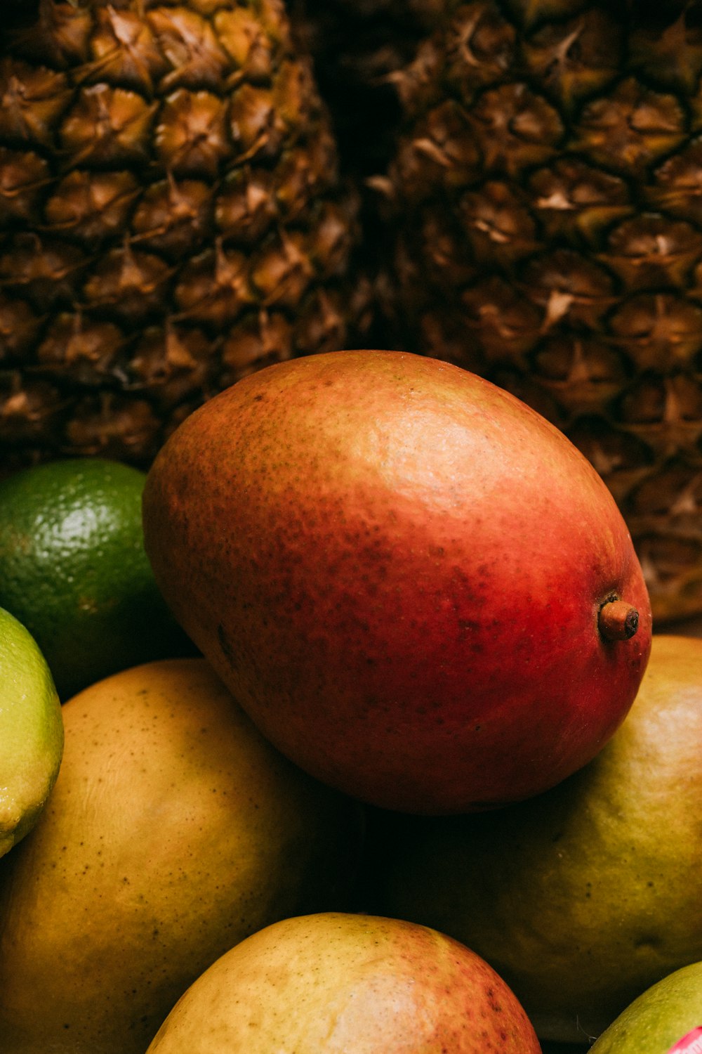 a bunch of oranges sitting on top of a pile of fruit