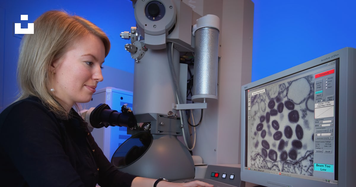 A woman is looking at a computer screen photo – Free Transmission ...