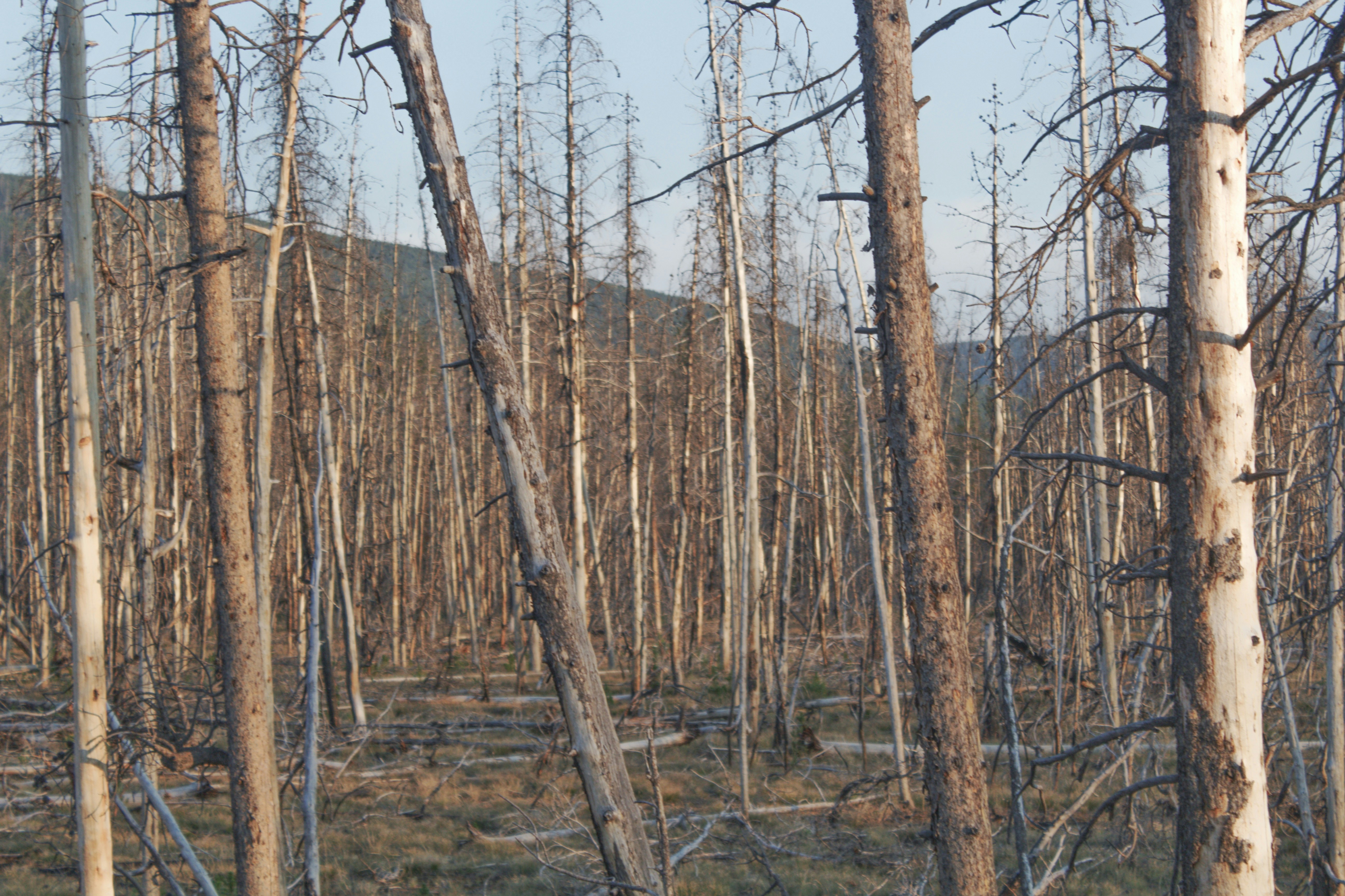 Photo by joshua_hoehne