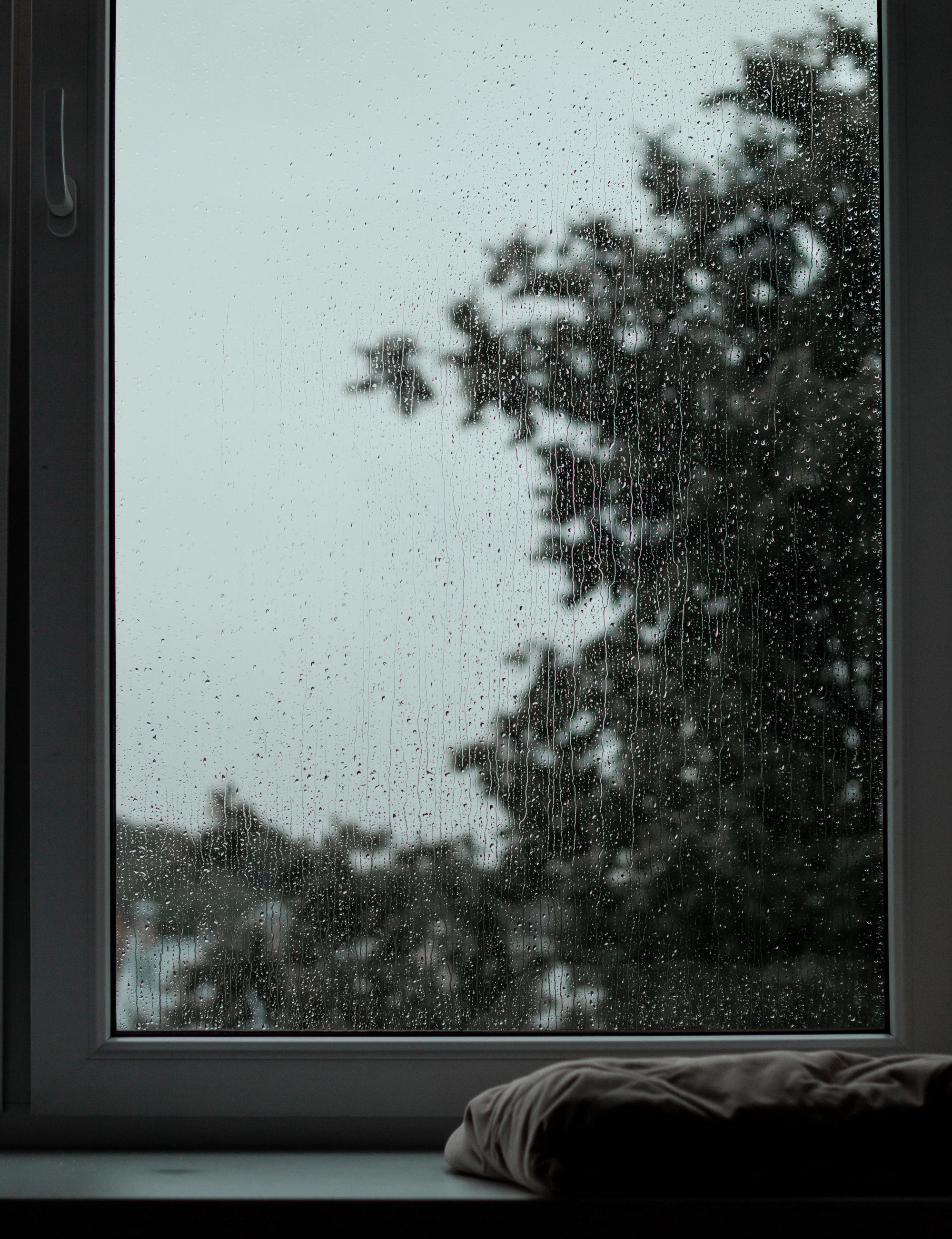 Raindrops on a window, a tree outside