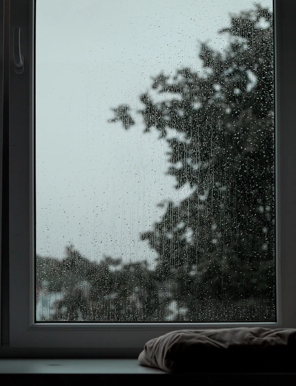 Raindrops on a window, a tree outside