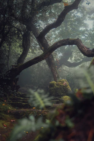 A detailed concept art of a mystical forest inhabited by glowing creatures and ancient ruins.