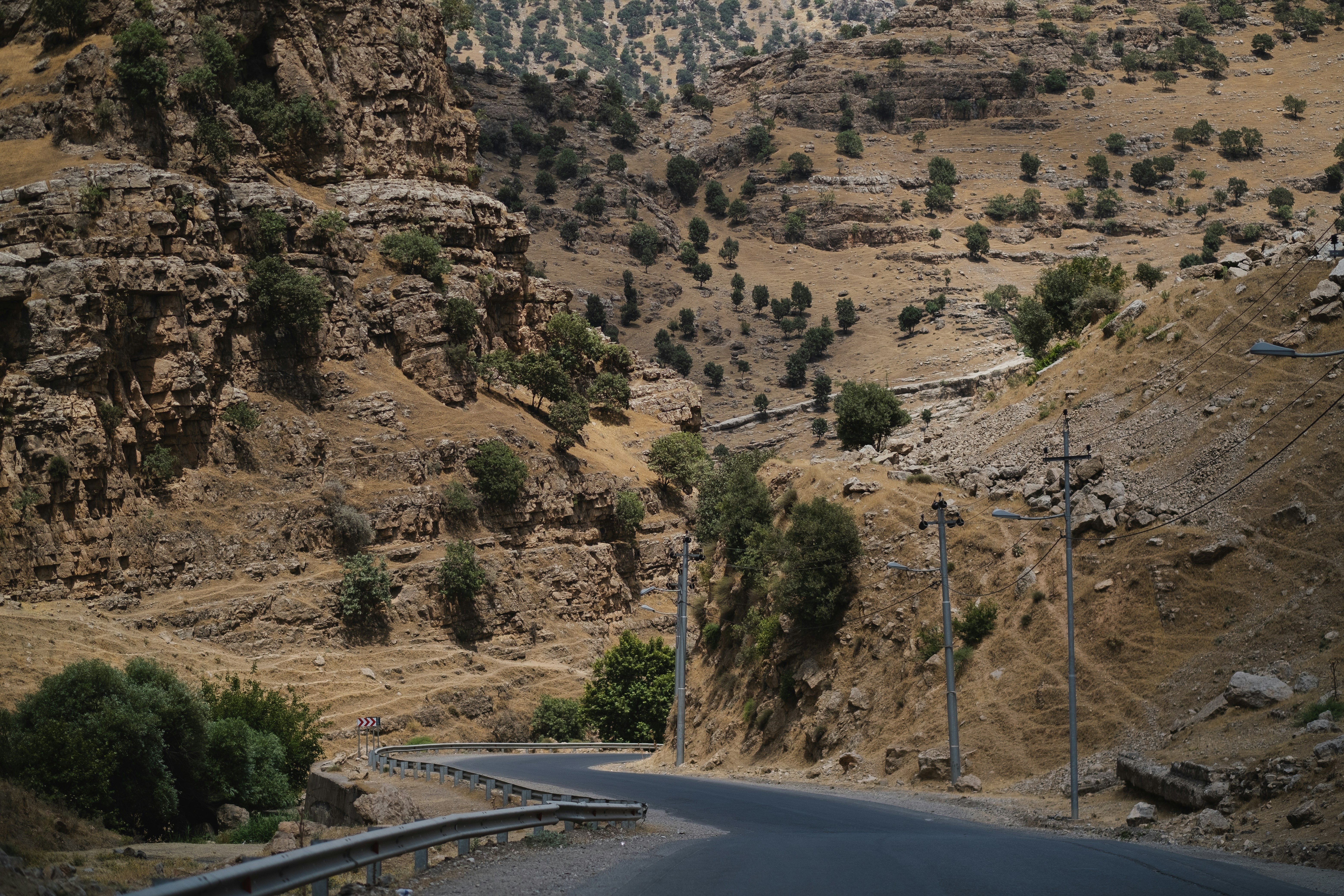 Photo by levimeirclancy