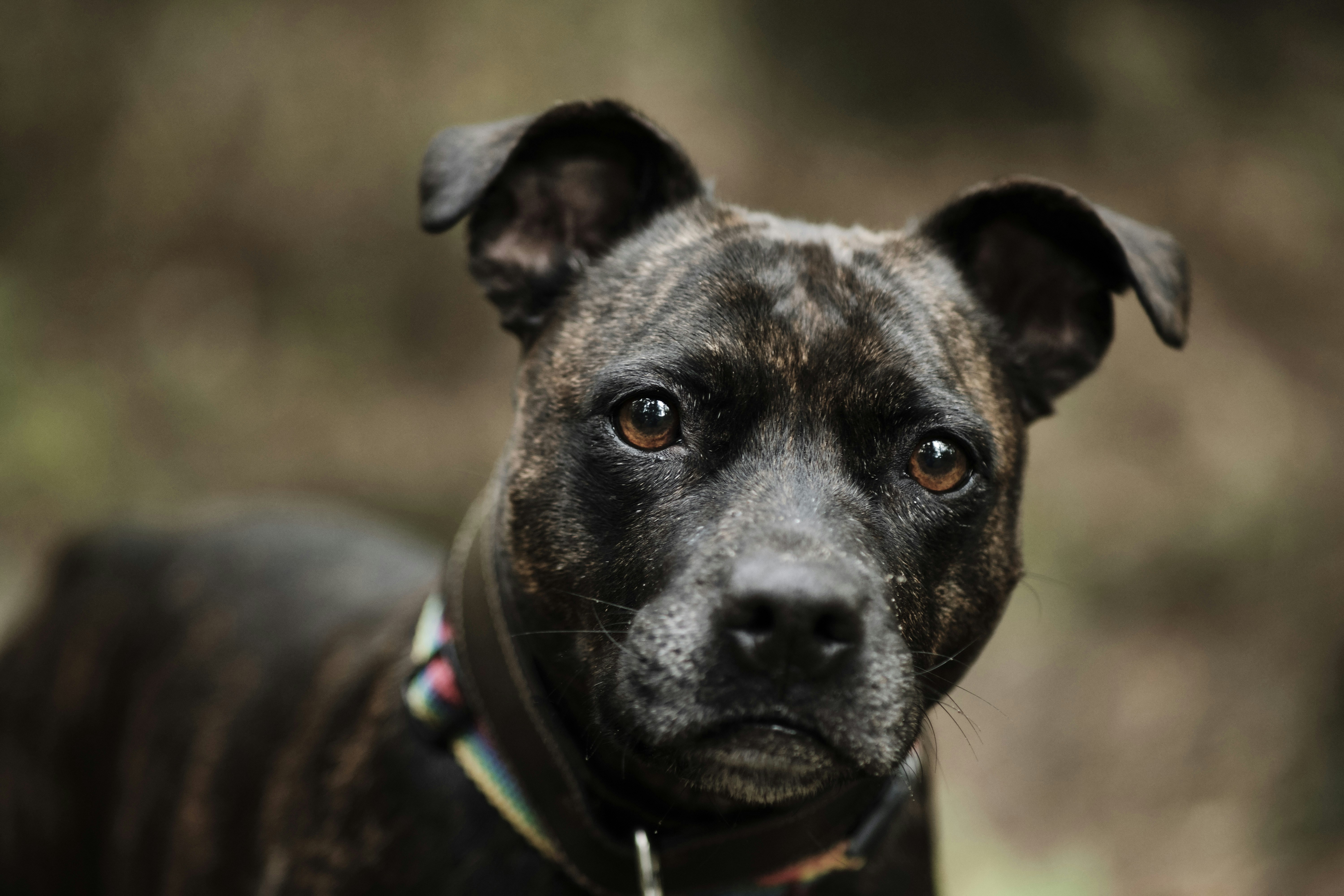 Photo by victor_vector