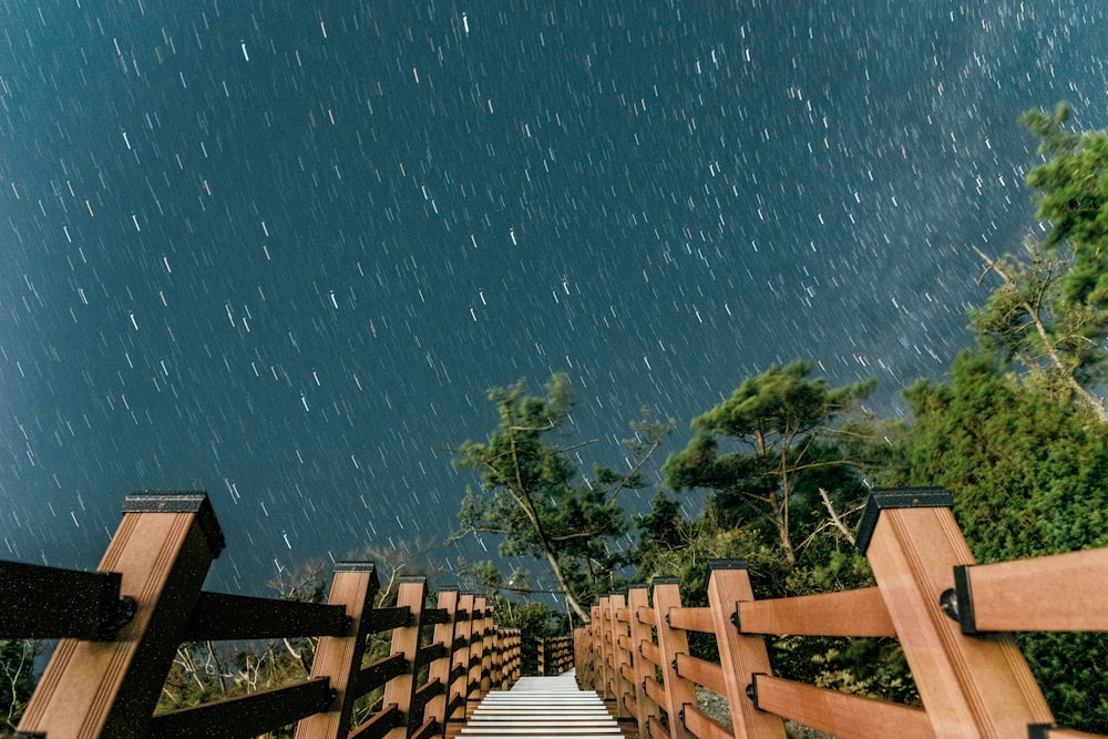 a wooden walkway leading to a forest under a night sky