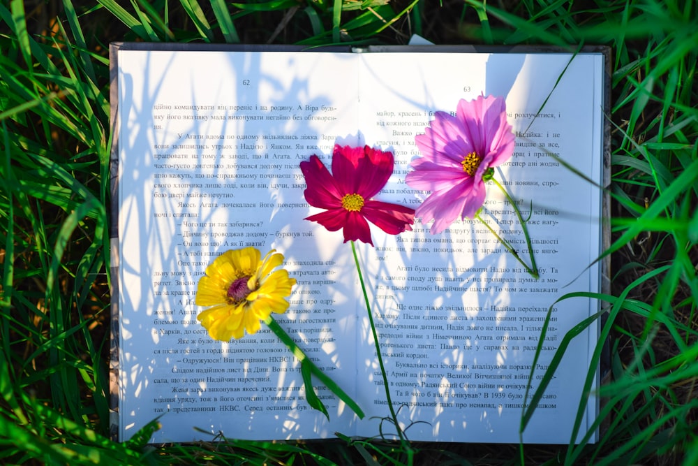 three flowers are sitting on a book in the grass