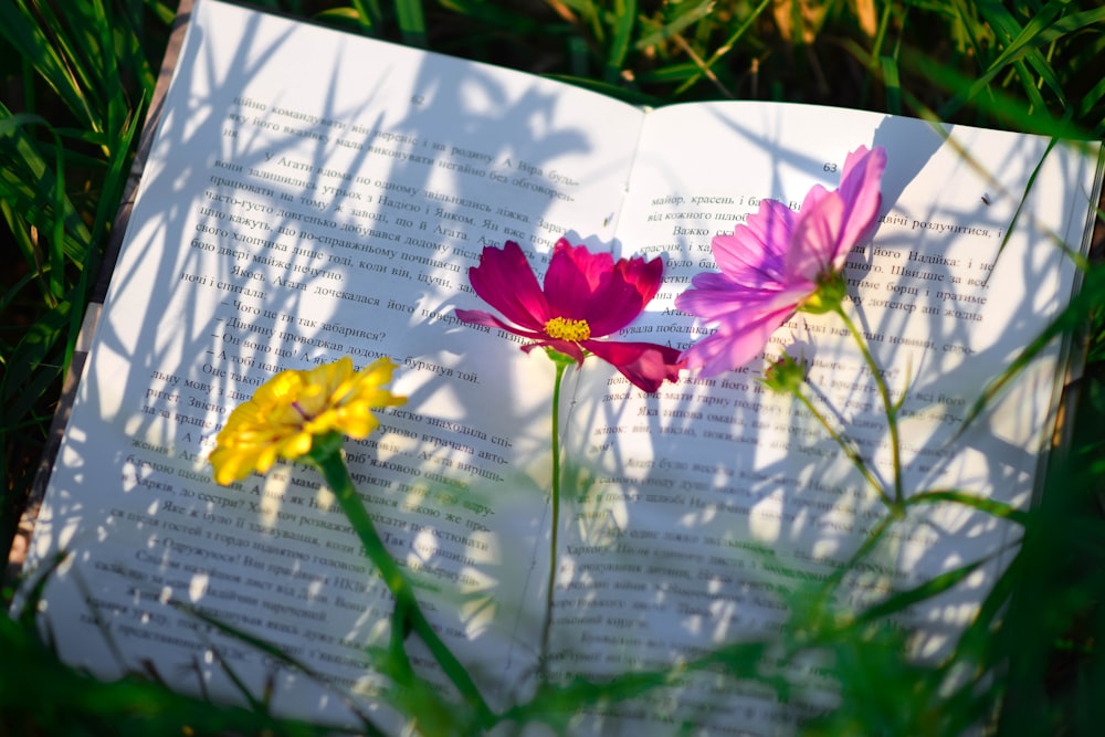 un libro che giace nell'erba con dei fiori sopra di esso