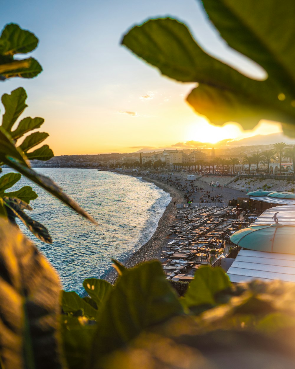 the sun is setting over a beach with surfboards