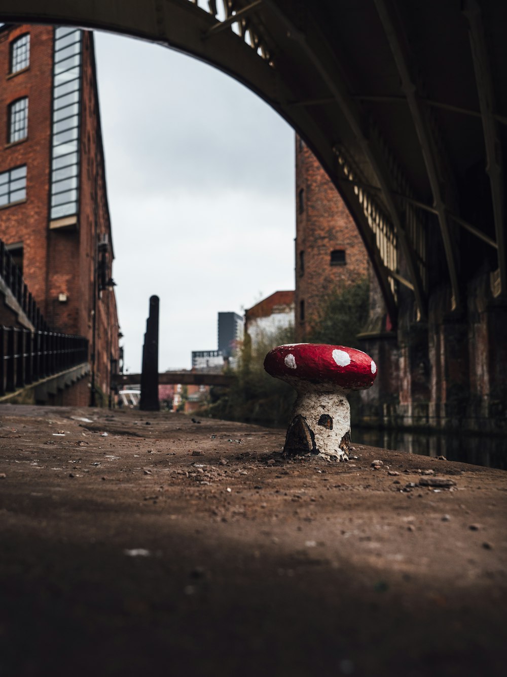 a mushroom sitting on the ground under a bridge