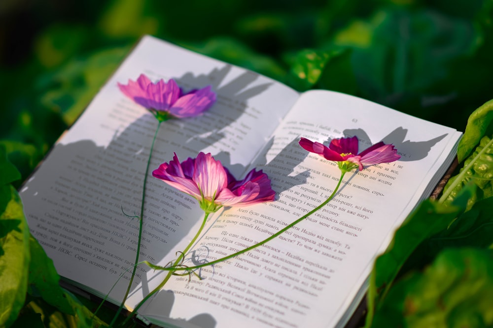 un libro con due fiori sopra di esso