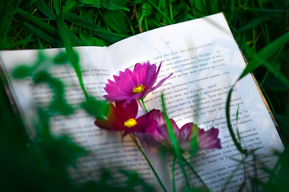 a book with a flower on it laying in the grass