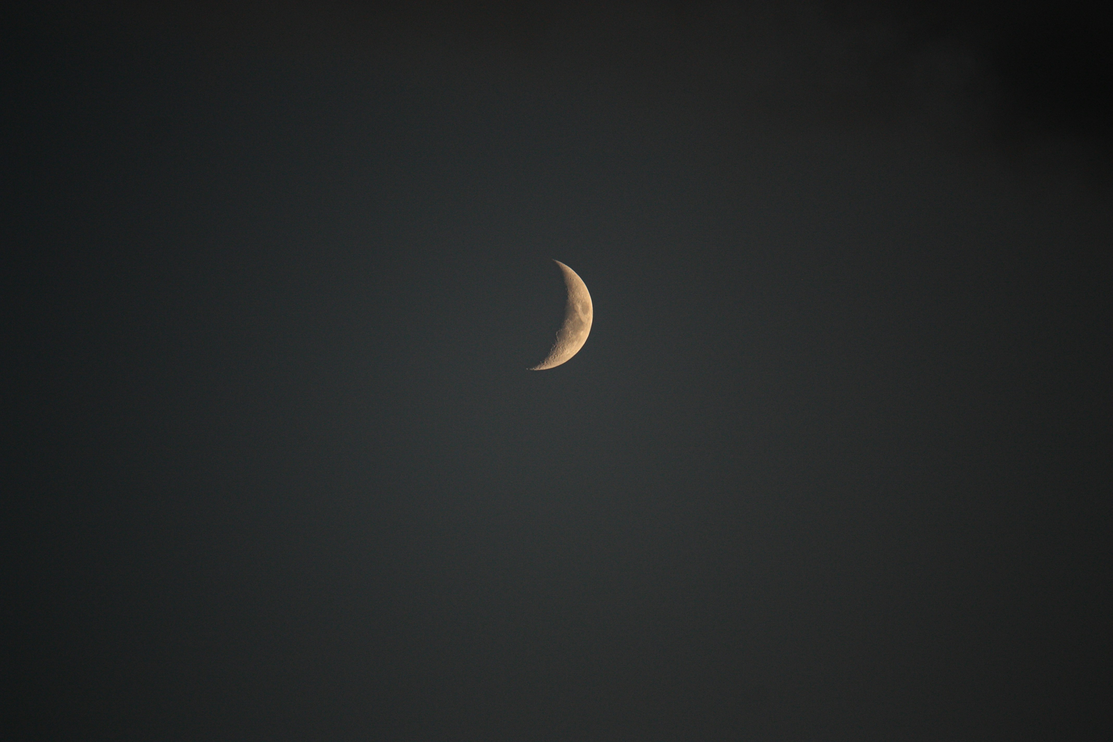 Photo by lartedegliscatti