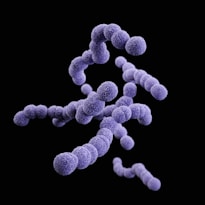 an image of a group of purple balls on a black background