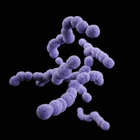 an image of a group of purple balls on a black background