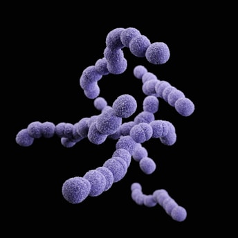 an image of a group of purple balls on a black background