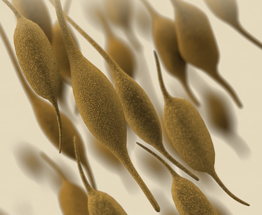 a close up of a bunch of brown leaves