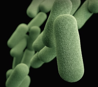 a close up of a green substance with a black background